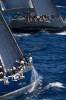 0709051107-magiccarpet Maxi Yacht Rolex Cup