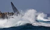 0909111204- Maxi Yacht Rolex Cup