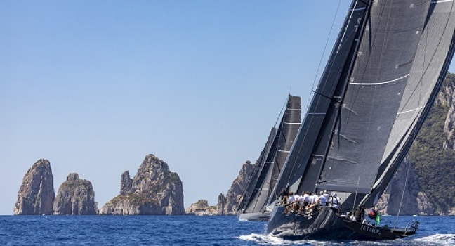 2023 IMA Maxi Europeans grows in quality and quantity