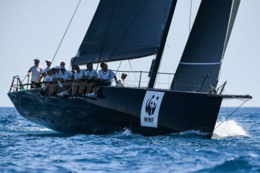 Snakes and ladders around Capri at the IMA Maxi Europeans