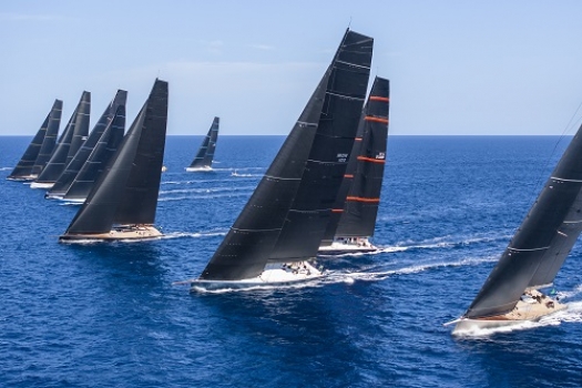 Galateia and Django 7X claim maxi world championships 